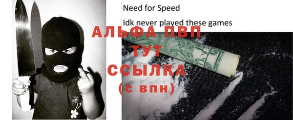 скорость Ельня