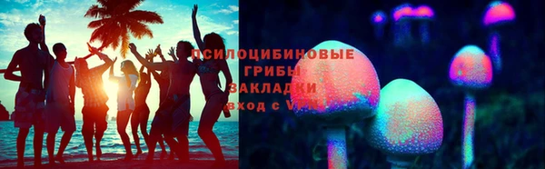 скорость Ельня