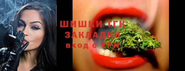 МДПВ Елабуга