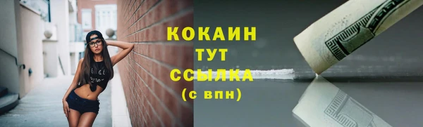 МДПВ Елабуга