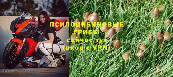 МДПВ Елабуга
