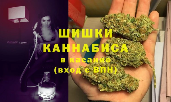 скорость Ельня