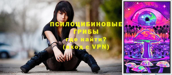 МДПВ Елабуга