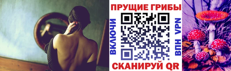 Псилоцибиновые грибы Psilocybine cubensis  Жуков 
